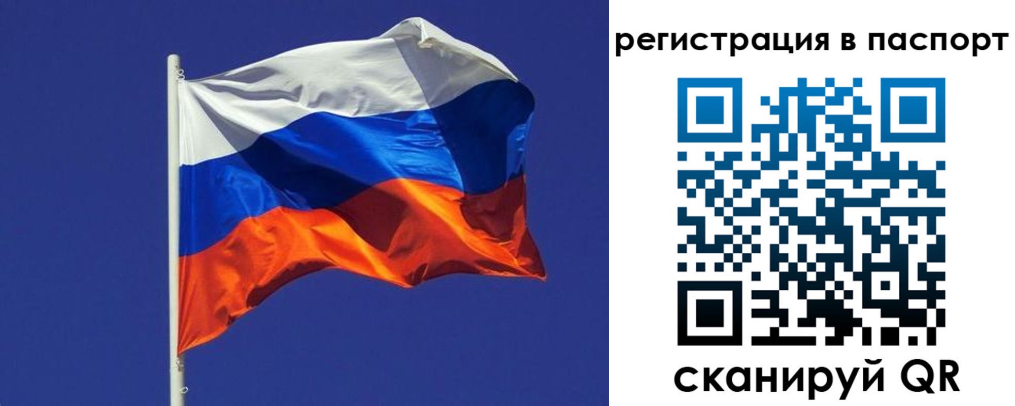 прописка для школы в Калининграде